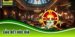 Cầu Bệt Xóc Đĩa