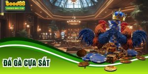 Đá Gà Cựa Sắt