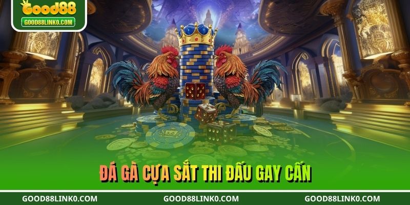 Đá gà cựa sắt thi đấu gay cấn