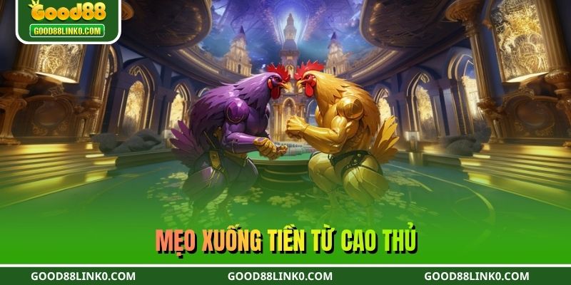 Mẹo xuống tiền từ cao thủ