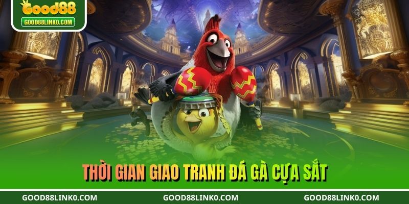 Thời gian giao tranh đá gà cựa sắt